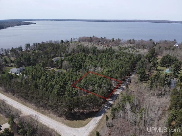 TBD Leduc Rd, Manistique MI, 49854 land for sale