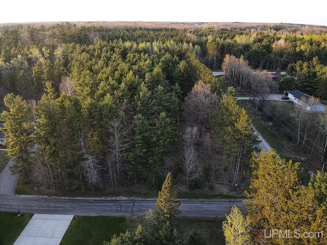 Listing photo 3 for TBD W Pine Ridge Rd, Manistique MI 49854