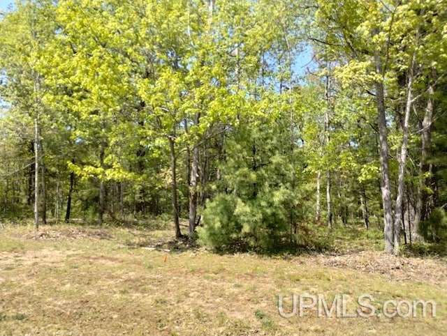 10481 Breezy R.22 Ln, Rapid River MI, 49878 land for sale