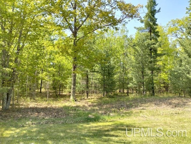 10441 Breezy R.22 Ln, Rapid River MI, 49878 land for sale