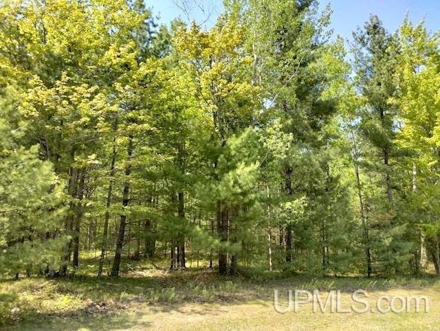 10431 Breezy R.22 Ln, Rapid River MI, 49878 land for sale