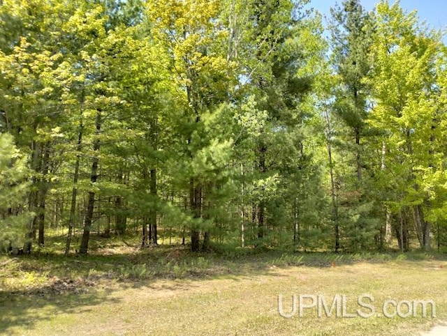 Listing photo 3 for 10431 Breezy R.22 Ln, Rapid River MI 49878