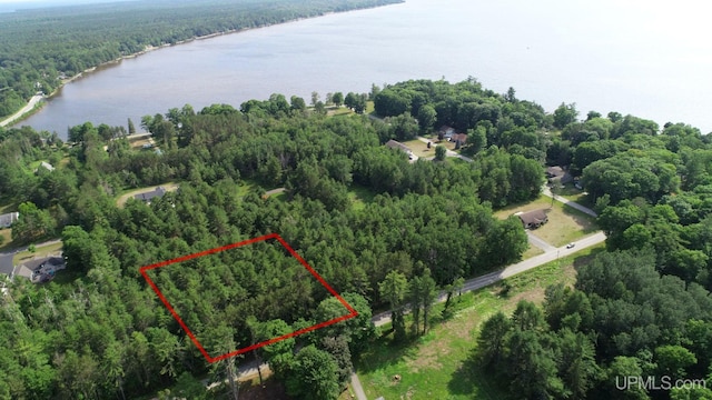 Listing photo 3 for TBD Leduc Rd, Manistique MI 49854