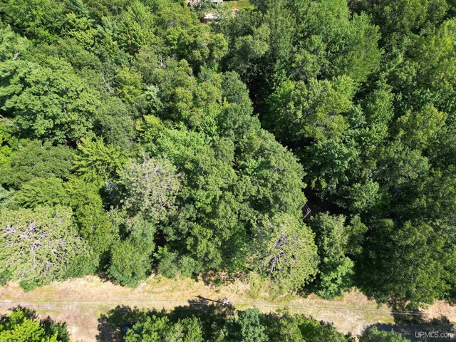 TBD 23.3 Ln, Rapid River, MI 49878