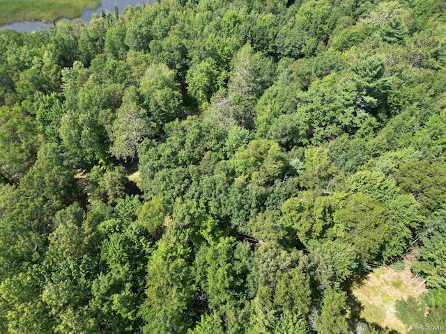 TBD 23.3 Ln, Rapid River, MI 49878
