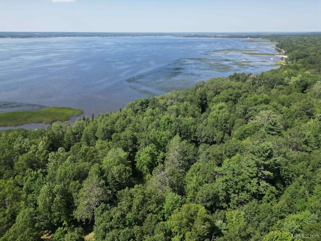 TBD 23.3 Ln, Rapid River, MI 49878