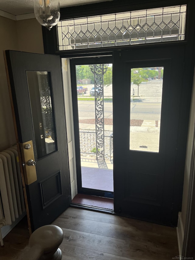 foyer with dark wood-type flooring, radiator, ornamental molding, and plenty of natural light