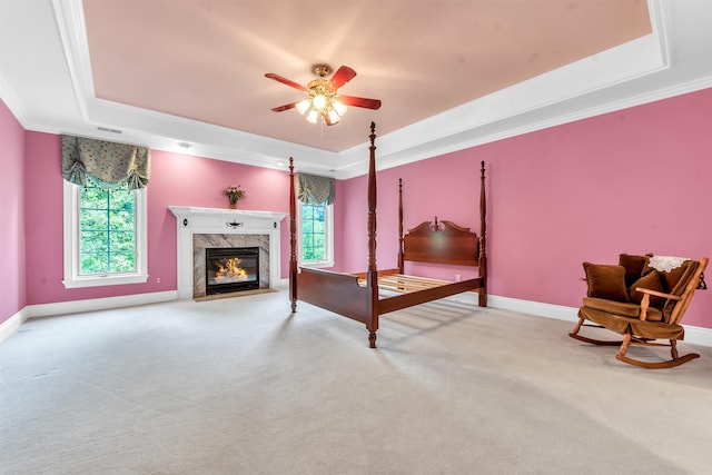 carpeted bedroom featuring a premium fireplace, multiple windows, a tray ceiling, and ornamental molding