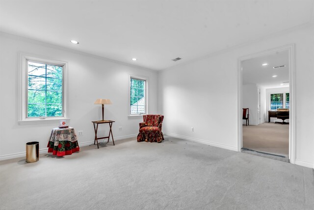 sitting room featuring carpet floors