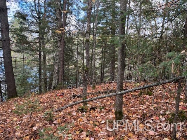 Listing photo 2 for TBD Horseshoe Lake Road, Republic MI 49879