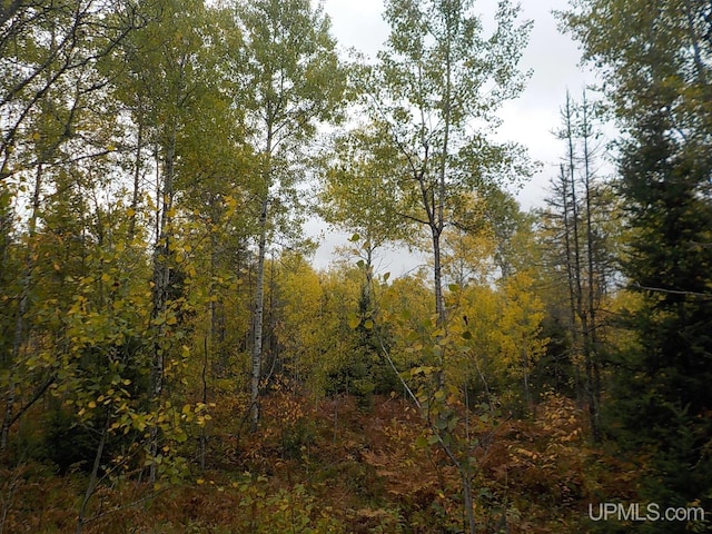 view of local wilderness