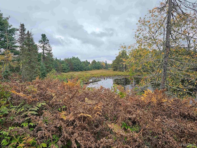 view of local wilderness featuring a water view