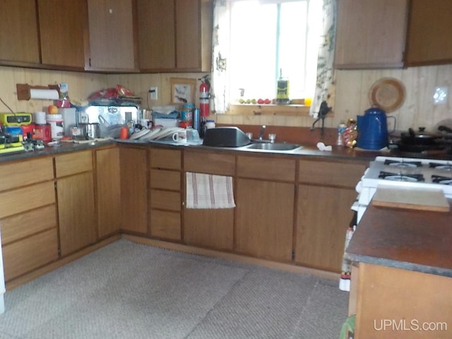 kitchen featuring sink and white electric range oven