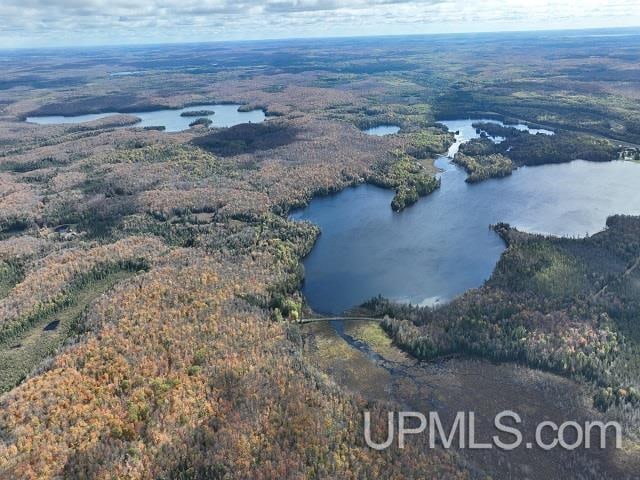 5800 Wolf Lake Rd, Watersmeet MI, 49969 land for sale