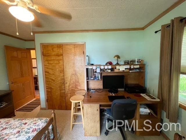 carpeted home office with ornamental molding and ceiling fan