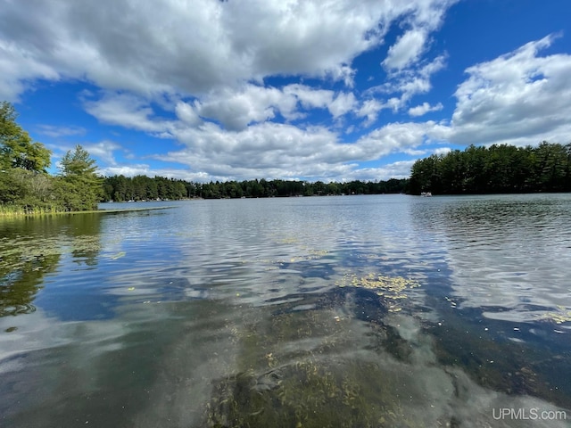 property view of water