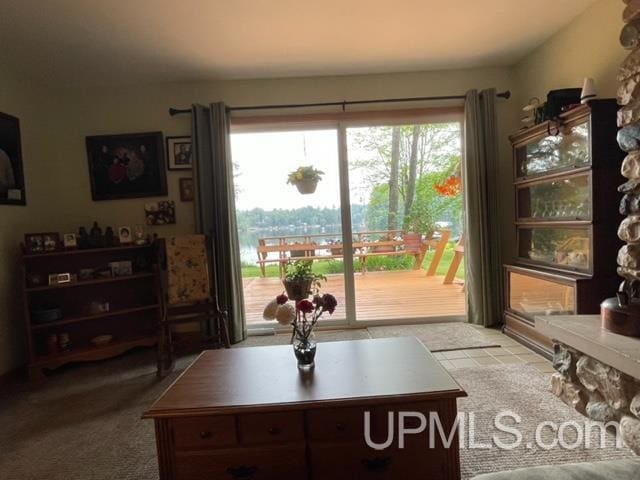 carpeted living room with a wealth of natural light