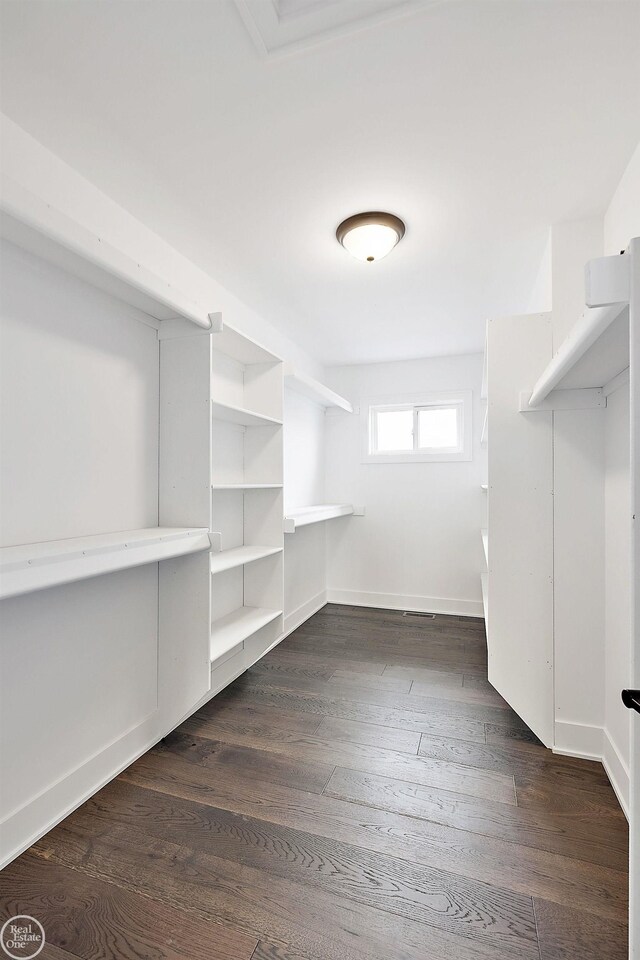 spacious closet with dark wood-style flooring