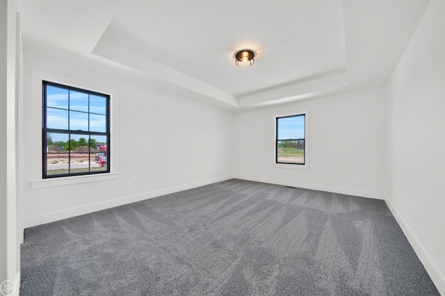 unfurnished room with carpet flooring and a tray ceiling