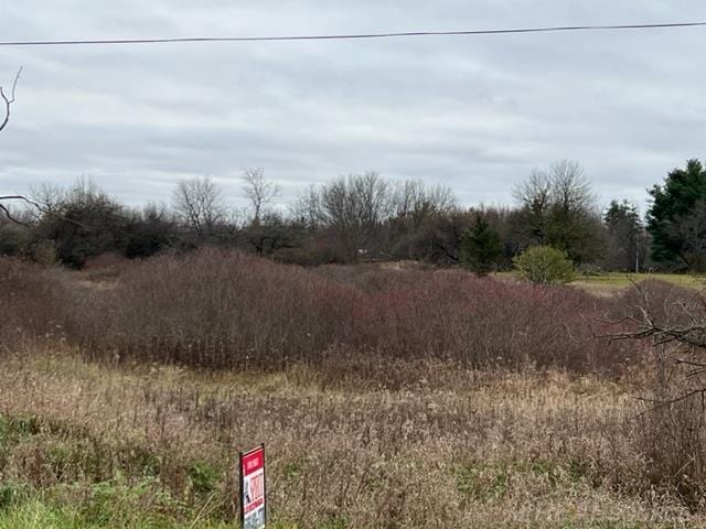 00 Beard Rd, Avoca MI, 48006 land for sale