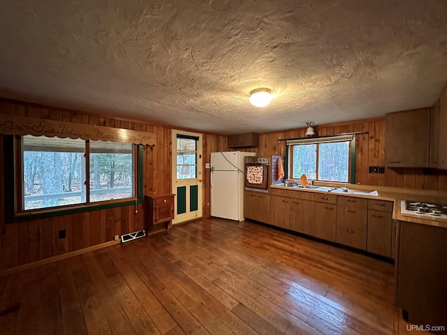 kitchen with dark hardwood / wood-style floors, white fridge, sink, cooktop, and wood walls