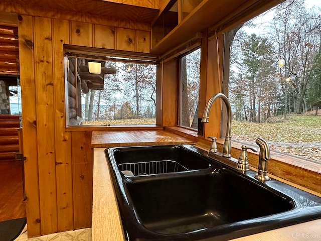 interior space featuring wooden walls and sink