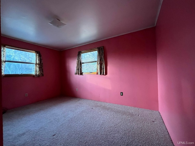 view of carpeted empty room