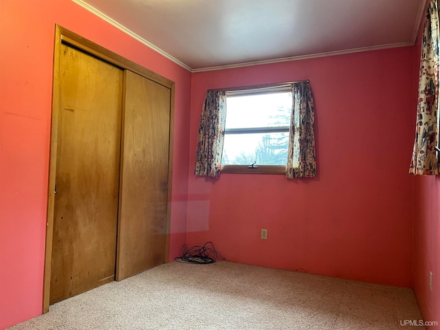 bedroom featuring ornamental molding, a closet, and carpet