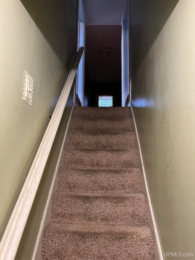 staircase with carpet floors