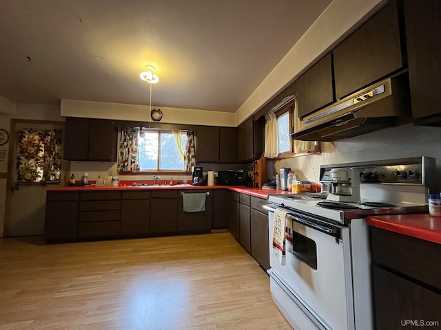 kitchen with light hardwood / wood-style flooring, white electric range oven, sink, and dark brown cabinetry