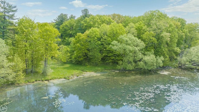 00 Coats Rd, Orion Twp, MI 48362