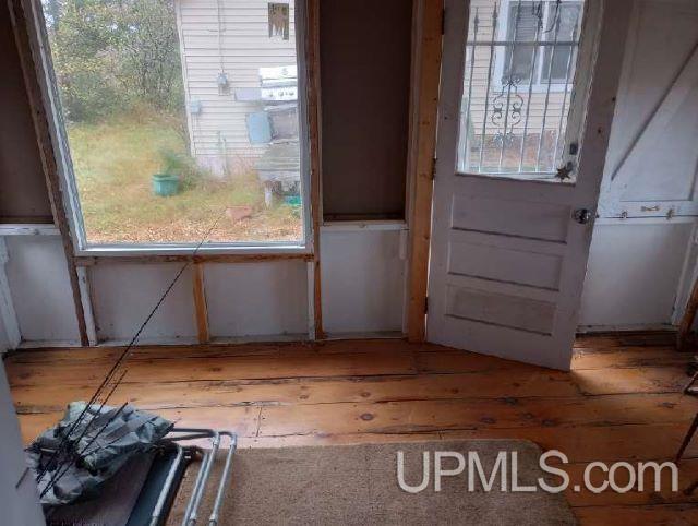 entryway featuring hardwood / wood-style flooring and a healthy amount of sunlight