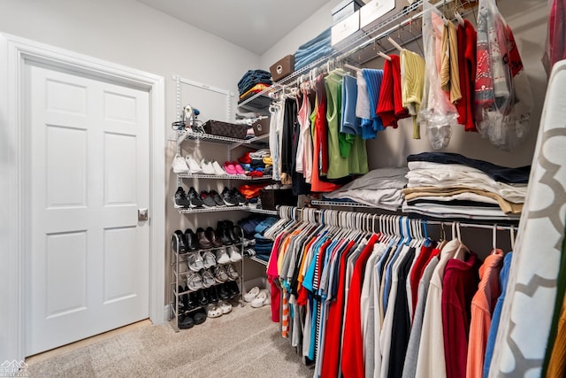 walk in closet with carpet flooring