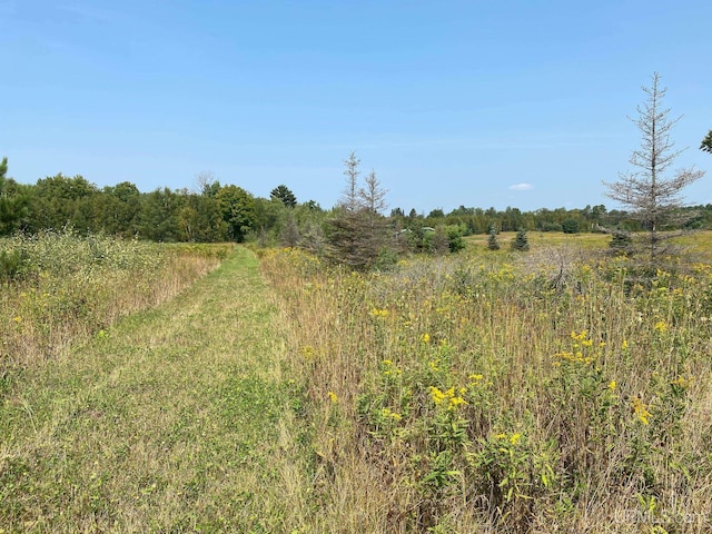 view of local wilderness with a rural view