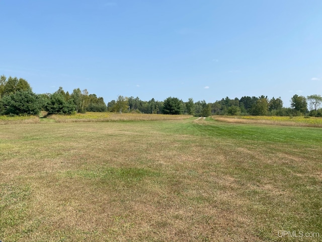 view of yard with a rural view