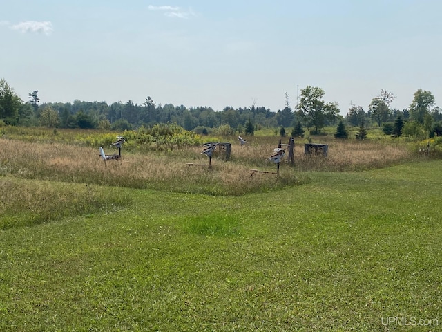 view of yard with a rural view