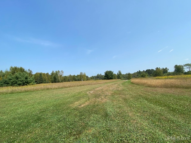 view of local wilderness featuring a rural view