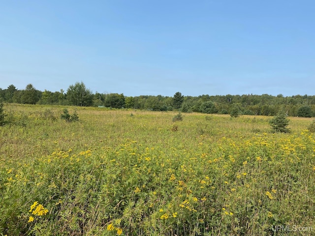 view of nature with a rural view