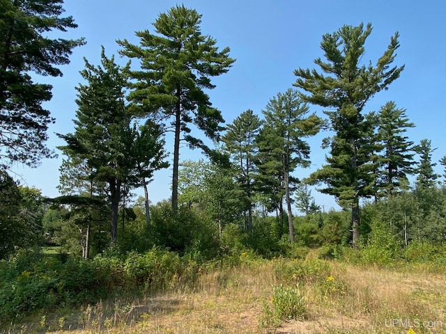 view of landscape