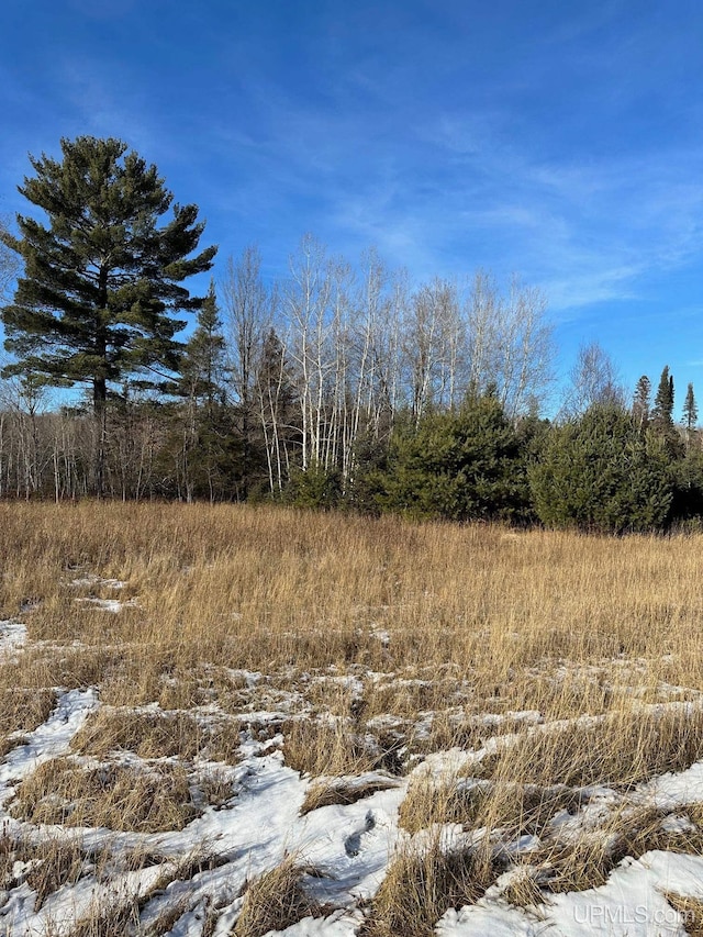 view of snowy landscape