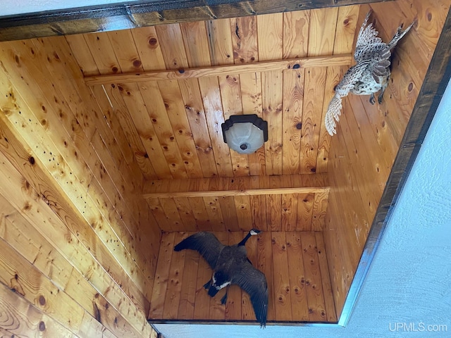 details featuring wooden walls and wooden ceiling