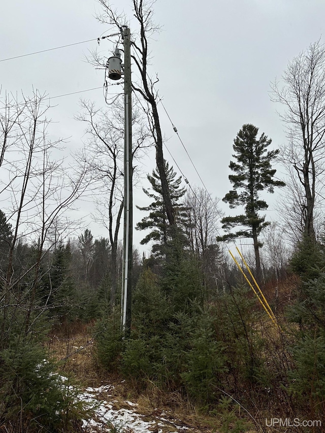 view of local wilderness