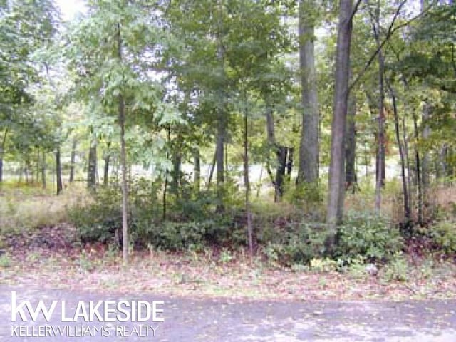 9775 Lost Channel Dr, Sand Point MI, 48755 land for sale