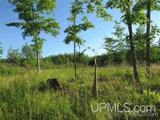 Listing photo 2 for TBD M-28 Hwy, Covington MI 49919