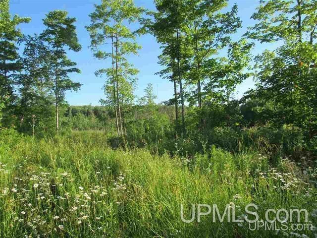 Listing photo 3 for TBD M-28 Hwy, Covington MI 49919