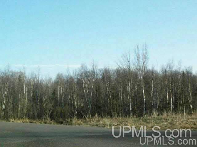 LOT2 Airport Park Rd, Hancock MI, 49930 land for sale