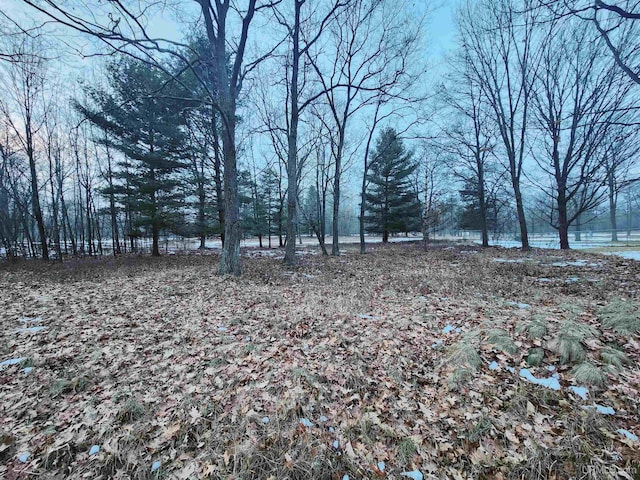 Listing photo 3 for TBD Tipperary Rd, Gladstone MI 49837