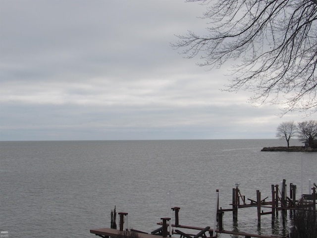 dock area with a water view