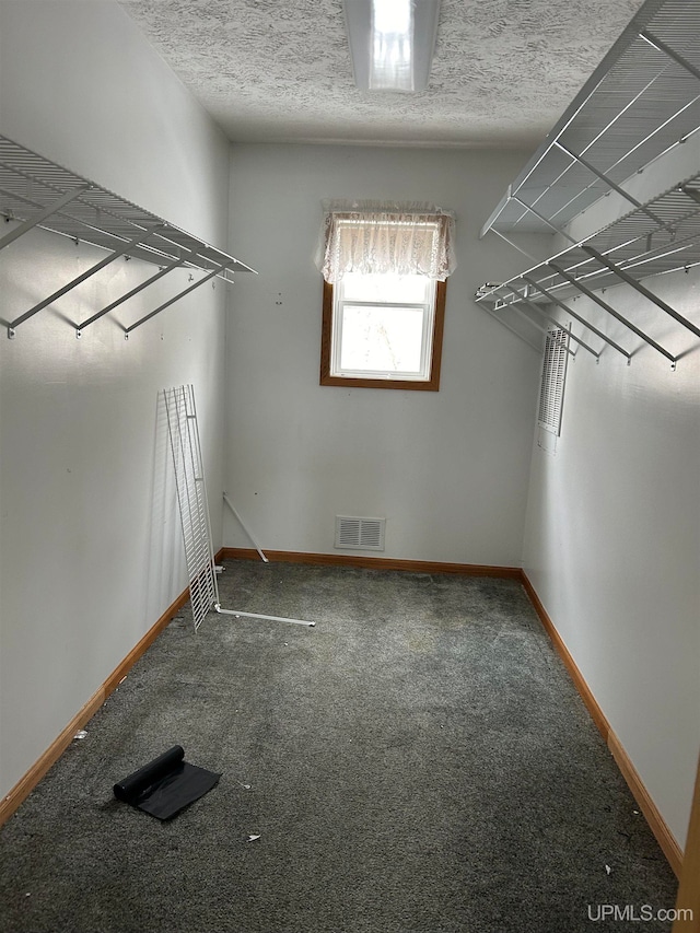 spacious closet featuring carpet floors