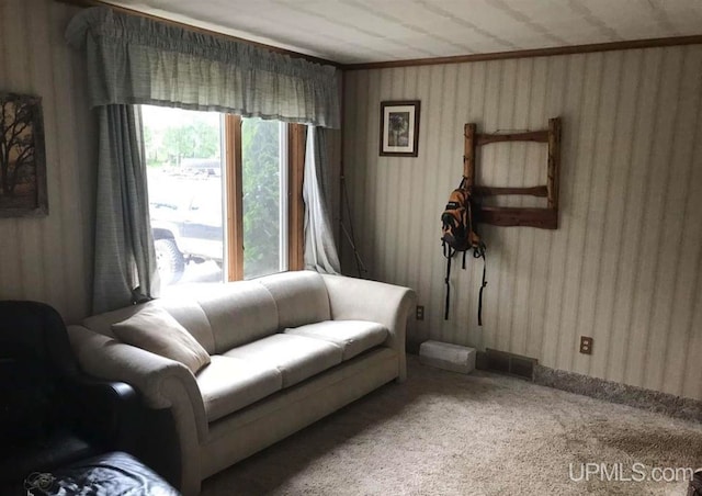 sitting room featuring carpet floors